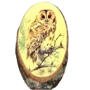 VINTAGE Made By The Cherokees Unique RUSTIC OWL
Wood WALL ART Decor